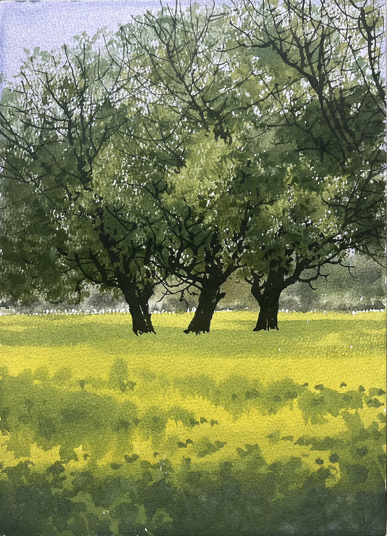 2025 四月 每日一画（图ZMzkwMjEzNzcy） - 绘画 - 站酷设计师孙小良的水彩画原创素材 - 站酷ZCOOL