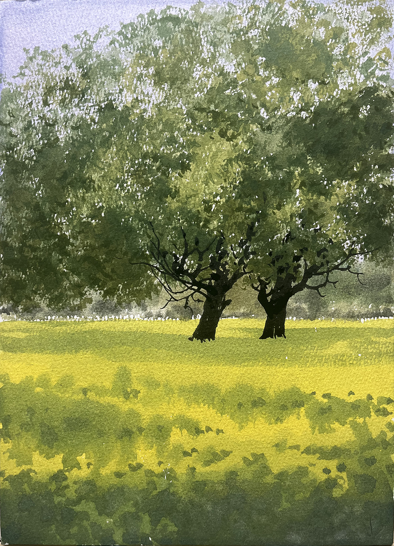 2025 四月 每日一画（图ZMzkwMjEzODAw） - 绘画 - 站酷设计师孙小良的水彩画原创素材 - 站酷ZCOOL