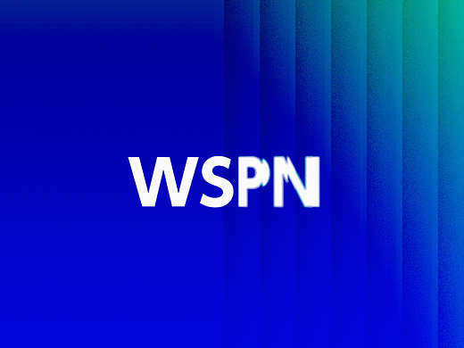 WSPN支付系统产品推广品牌传播设计