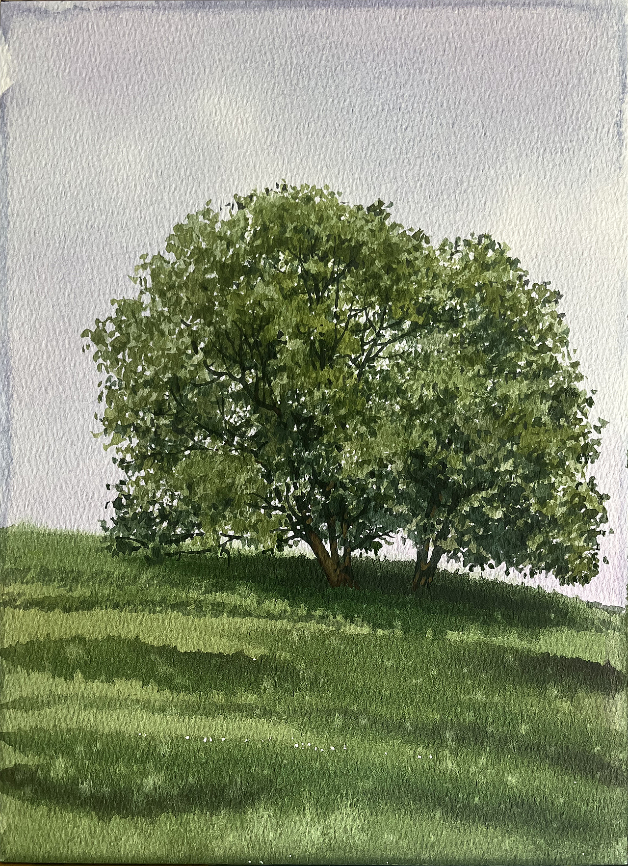 2025 四月 每日一画（图ZMzkwMjE1OTg0） - 绘画 - 站酷设计师孙小良的水彩画原创素材 - 站酷ZCOOL