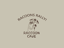 浣熊洞|品牌全案设计