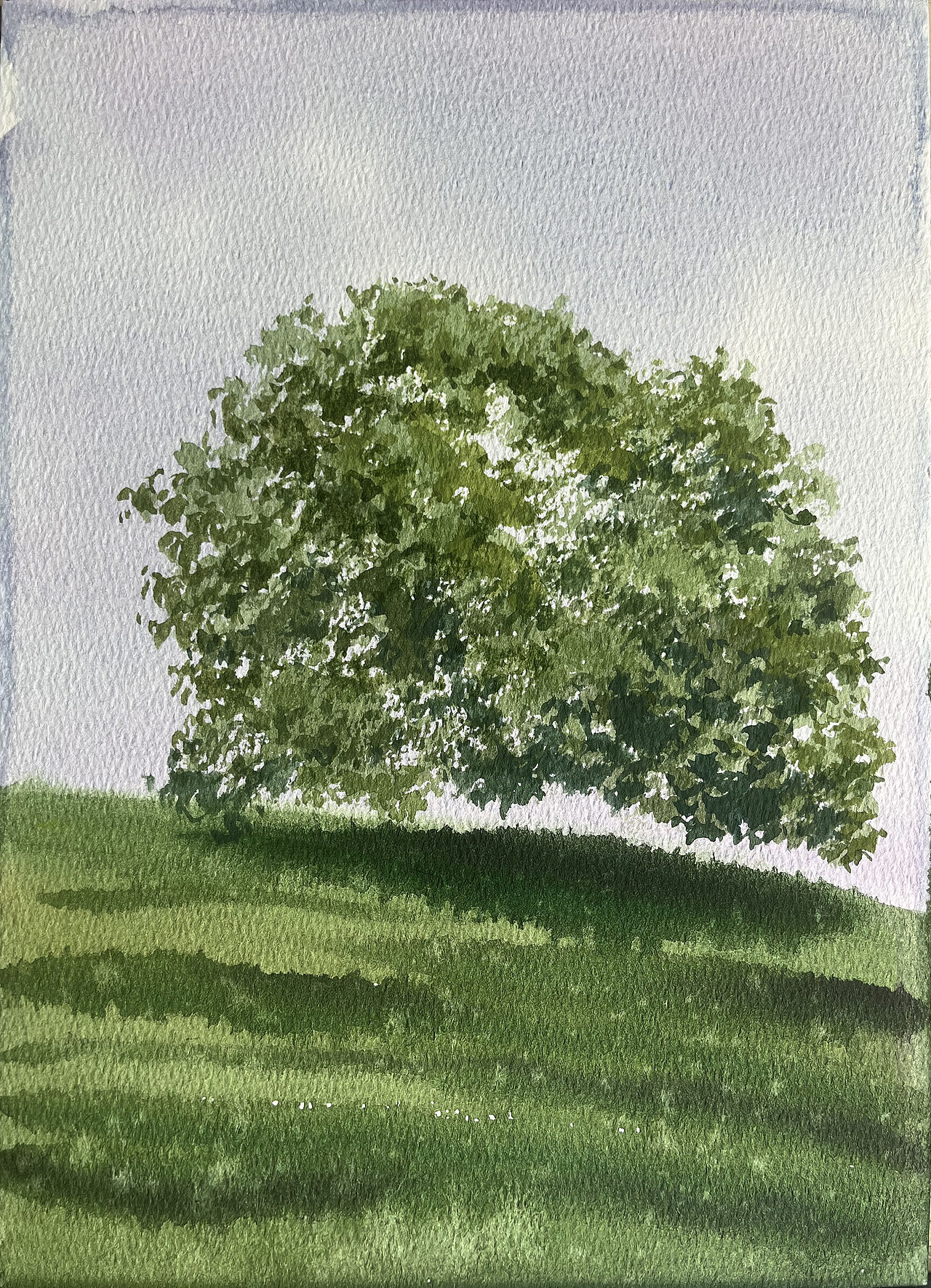 2025 四月 每日一画（图ZMzkwMjE2MTA4） - 绘画 - 站酷设计师孙小良的水彩画原创素材 - 站酷ZCOOL