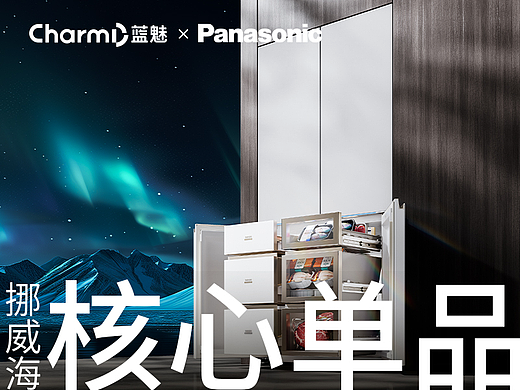 [ Panasonic-松下挪威海系列冰箱 ] 详情页