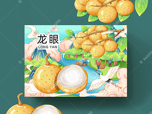 龙眼插画手绘 