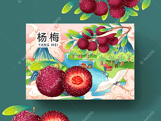 杨梅插画手绘