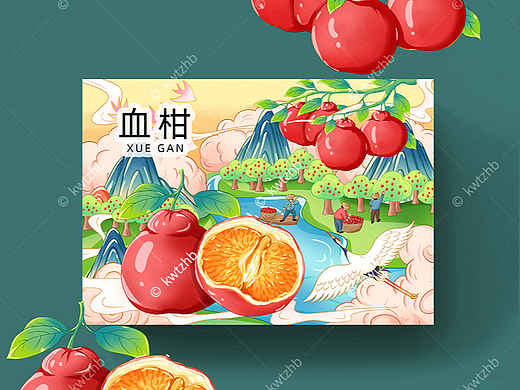 血柑插画手绘