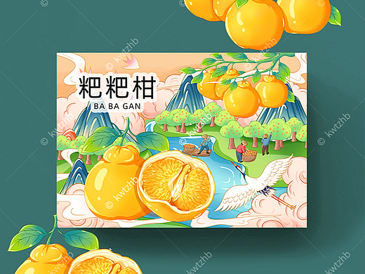粑粑柑插画手绘