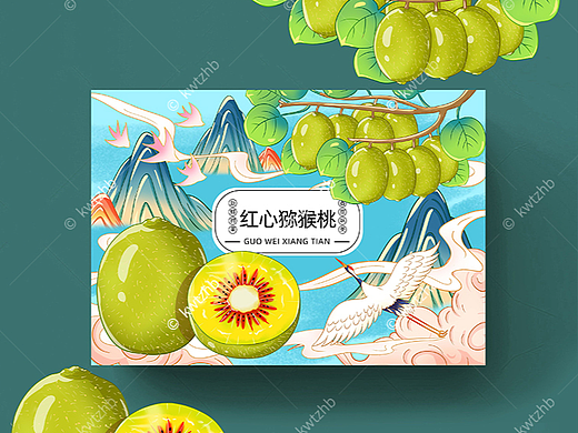 红心猕猴桃插画手绘