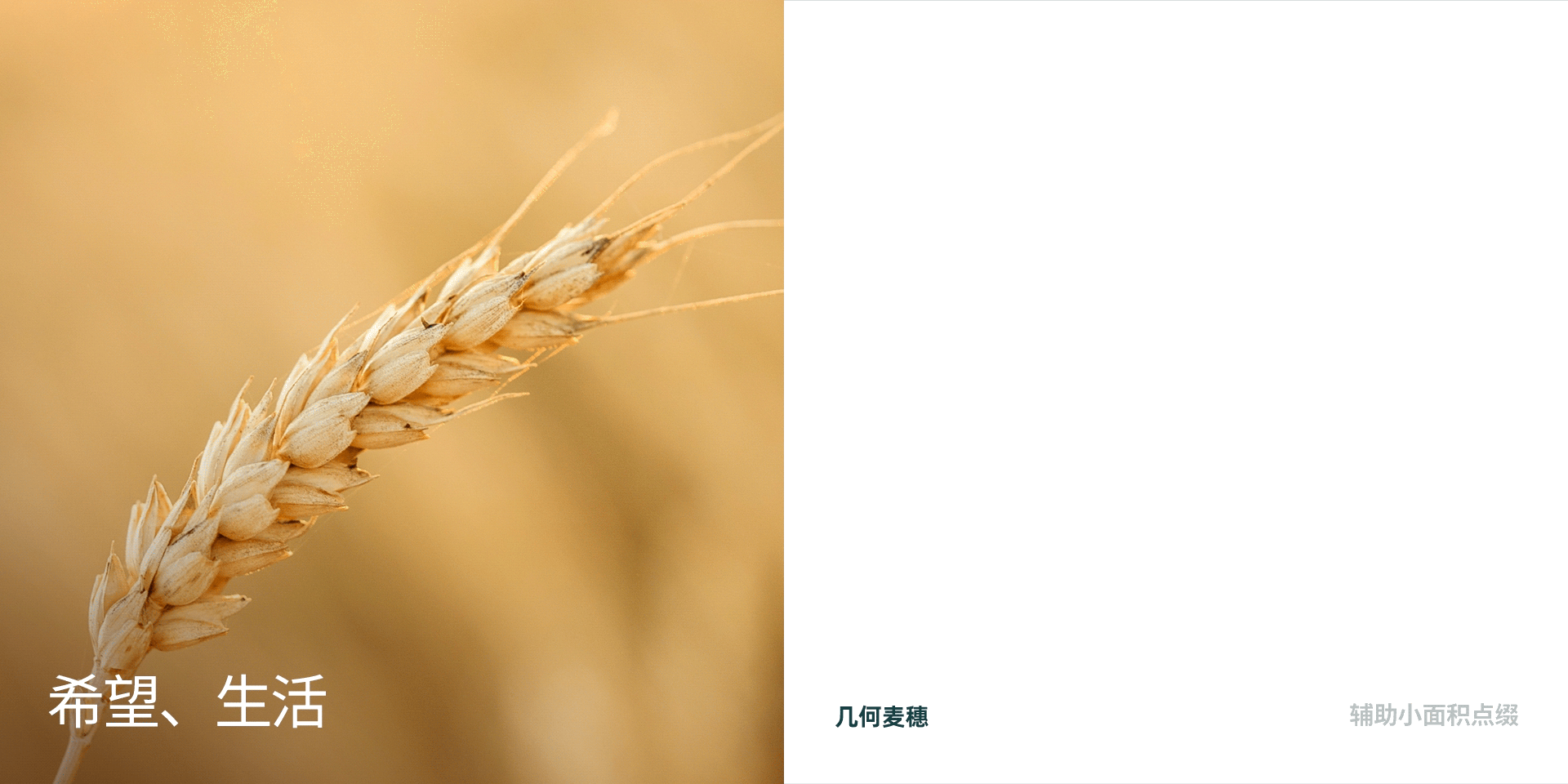 建发农产品集团全球官网视觉设计 —— 高端网站建设