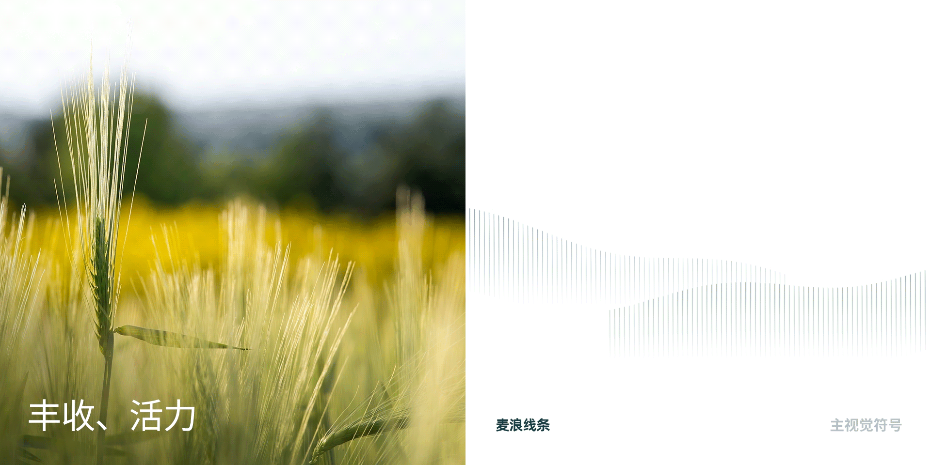 建发农产品集团全球官网视觉设计 —— 高端网站建设(图ZMzkwMjUxNjk2) - 企业官网 - 站酷设计师UUNN优势互动原创素材 - 站酷ZCOOL