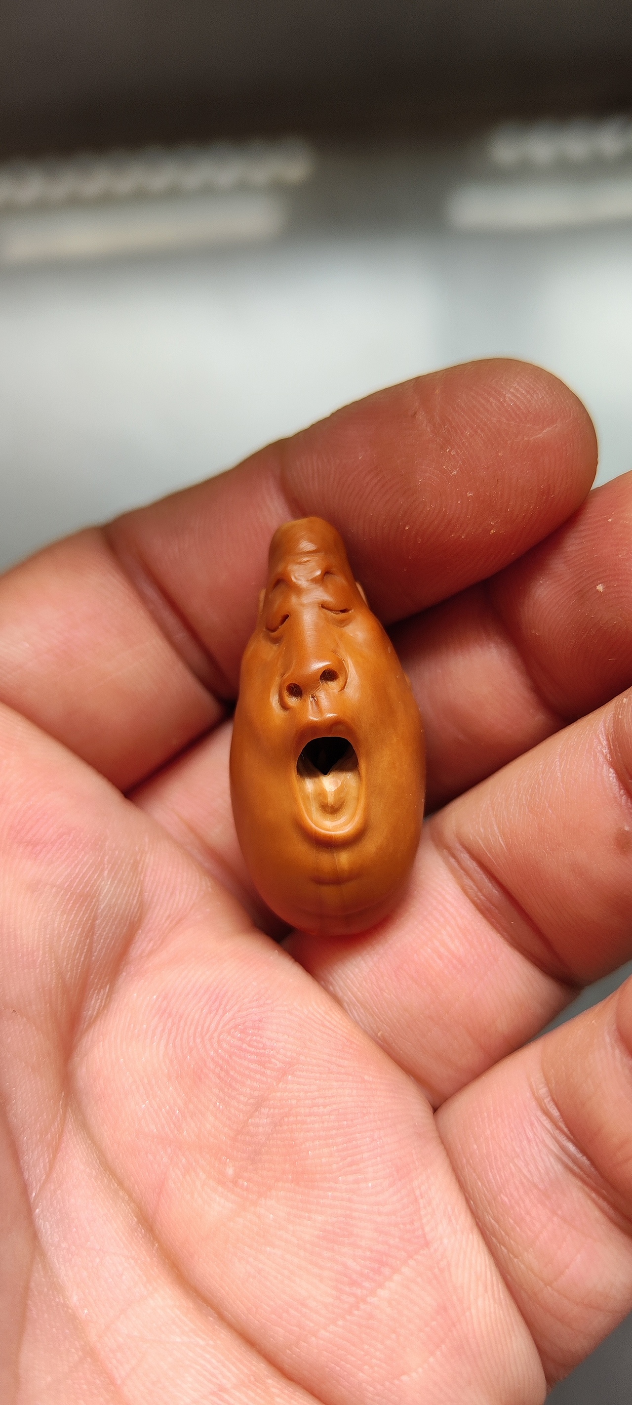 覃投艺核工作室覃文东希早核雕作品效果