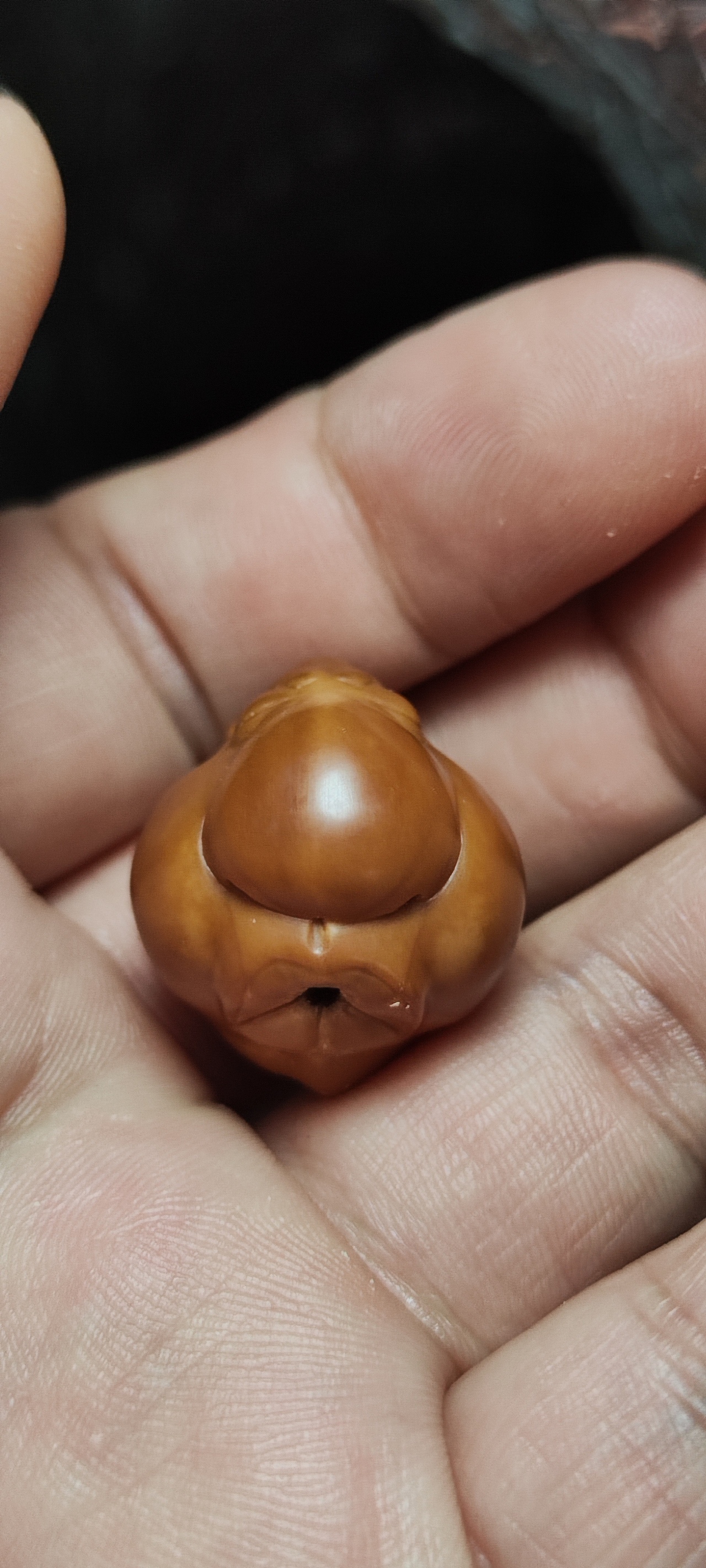 覃投艺核工作室覃文东希早核雕作品效果