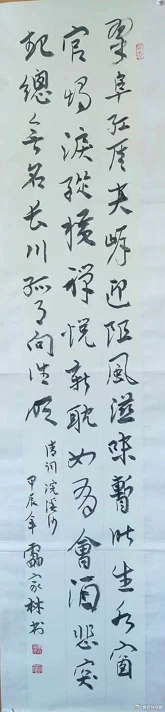 雷家林是谁?他写了什么文字?