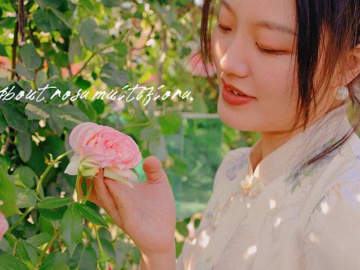 Suzy 旗袍赏花 花亦衬人