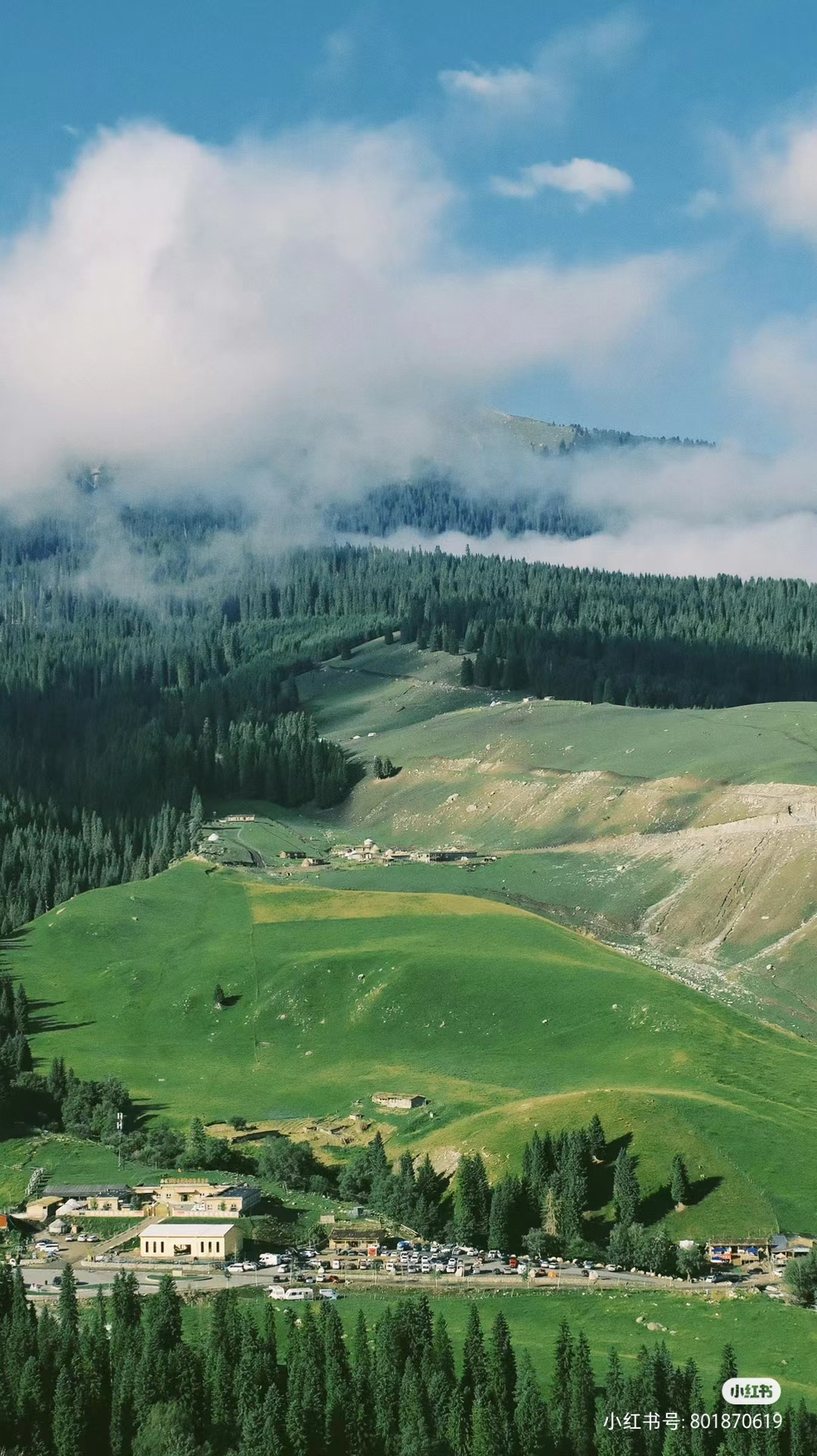 碎碎念哎的個人主頁（封面預覽） - 主頁封面設(shè)置 - 站酷設(shè)計師碎碎念哎原創(chuàng)素材 - 站酷ZCOOL