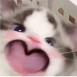 美绿的头像