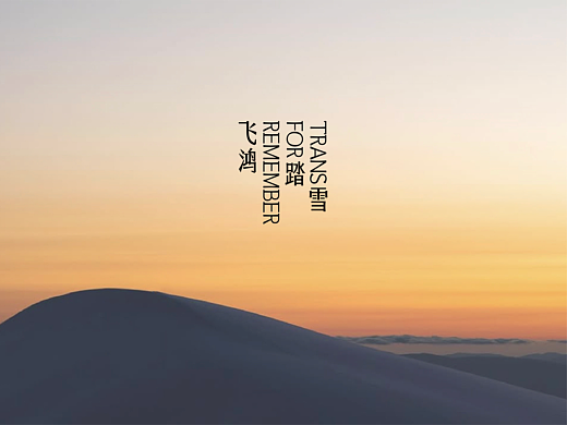 飞鸿踏雪品牌形象设计