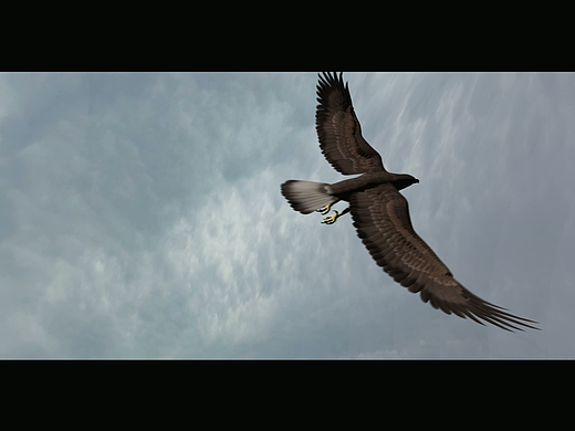 电影 动态分镜头 预演 作品 #Previs #CGI  