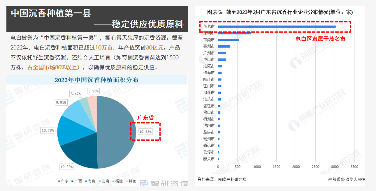 今香韵广东电白新中式沉香手串品牌全案设计