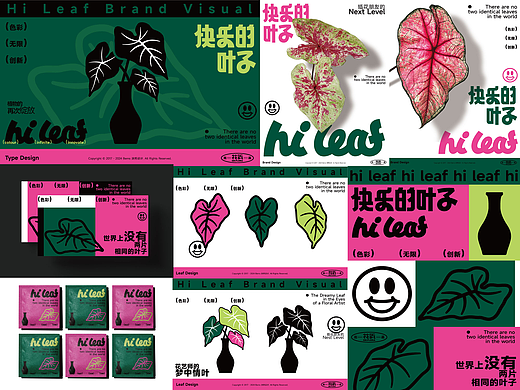 彩叶芋鲜花品牌设计