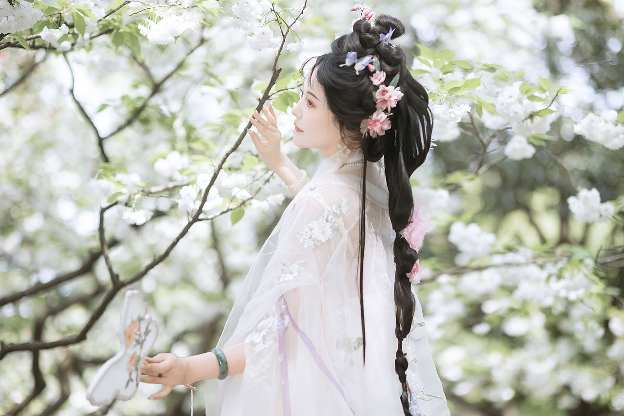 樱花似雪（图ZMzkwMzIxMzk2） - 人像摄影 - 站酷设计师若寒Rock原创素材 - 站酷ZCOOL