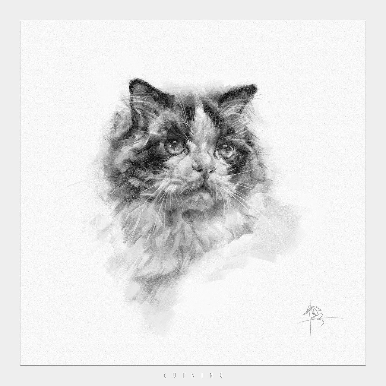 貓素描（圖ZMzkwMzQyMjg0） - 繪畫 - 站酷設(shè)計(jì)師cuin62原創(chuàng)素材 - 站酷ZCOOL