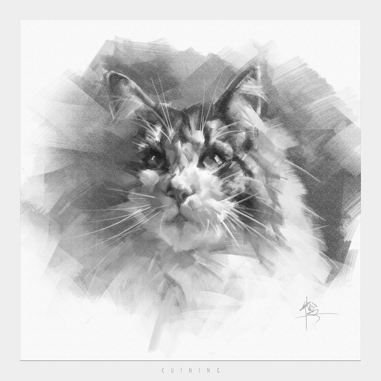 貓素描（圖ZMzkwMzQyMjk2） - 繪畫 - 站酷設(shè)計(jì)師cuin62原創(chuàng)素材 - 站酷ZCOOL