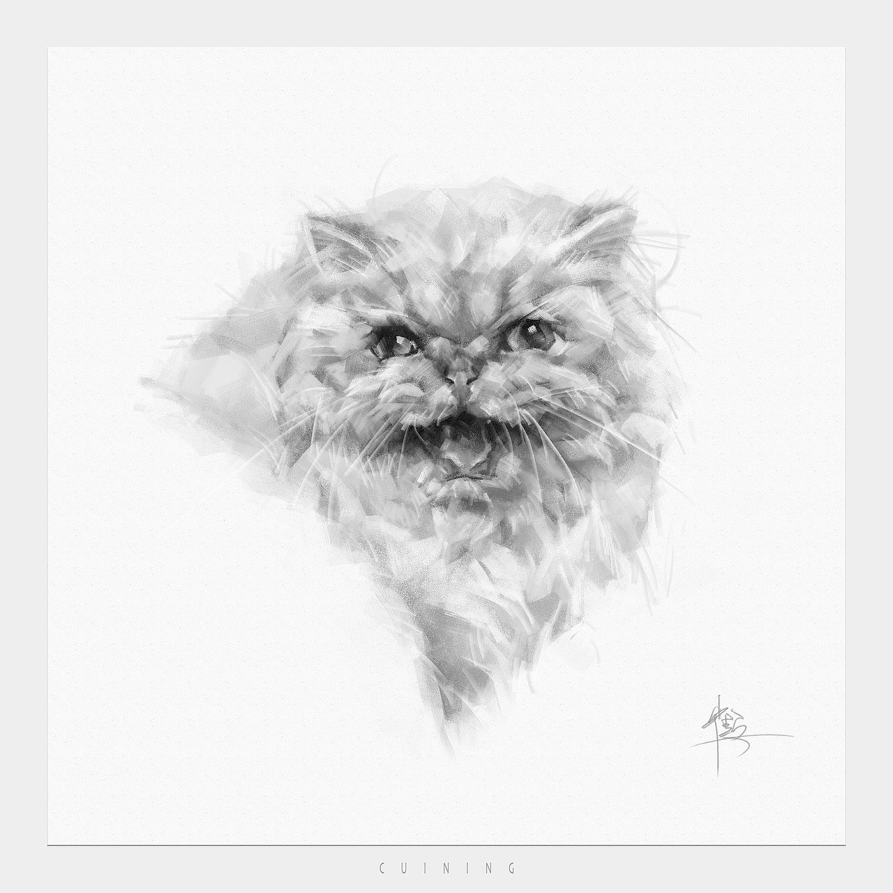 猫素描（图ZMzkwMzQyMjg4） - 绘画 - 站酷设计师cuin62原创素材 - 站酷ZCOOL