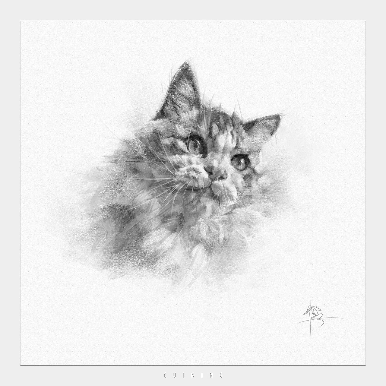 貓素描（圖ZMzkwMzQyMjgw） - 繪畫 - 站酷設(shè)計(jì)師cuin62原創(chuàng)素材 - 站酷ZCOOL