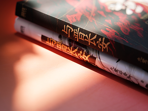 《与晋长安》｜书籍装帧设计
