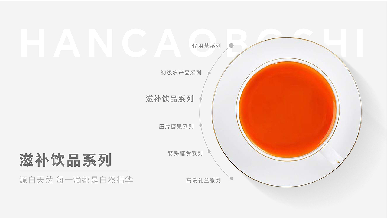 大健康行业产品包装设计&产品手册