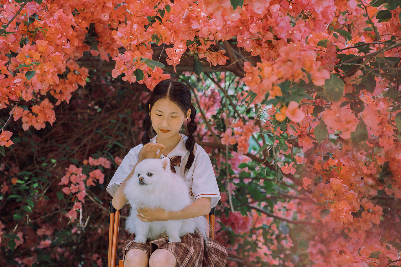 花未眠（图ZMzkwMzY2MTIw） - 人像摄影 - 站酷设计师ROEMWO原创素材 - 站酷ZCOOL