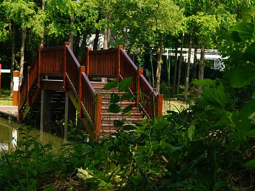 林間虹橋｜木質(zhì)結(jié)構(gòu)的自然共生學(xué)（個(gè)人主頁-ZNzE4OTQzMjQ=） - 風(fēng)光攝影 - 站酷設(shè)計(jì)師王疏野原創(chuàng)素材 - 站酷ZCOOL