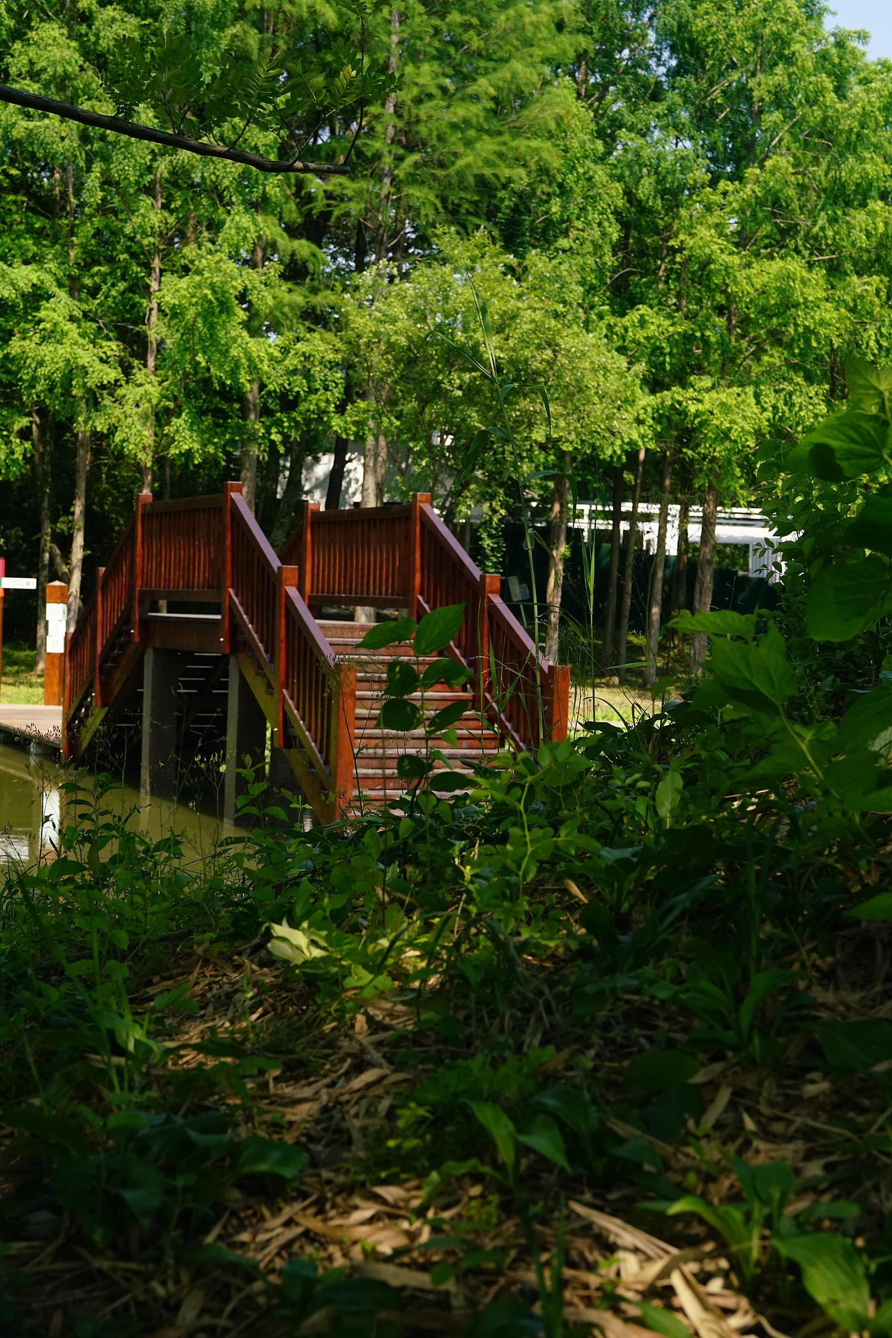 林間虹橋｜木質(zhì)結(jié)構(gòu)的自然共生學(xué)（圖ZMzkwMzcyNDky） - 風(fēng)光攝影 - 站酷設(shè)計(jì)師王疏野原創(chuàng)素材 - 站酷ZCOOL