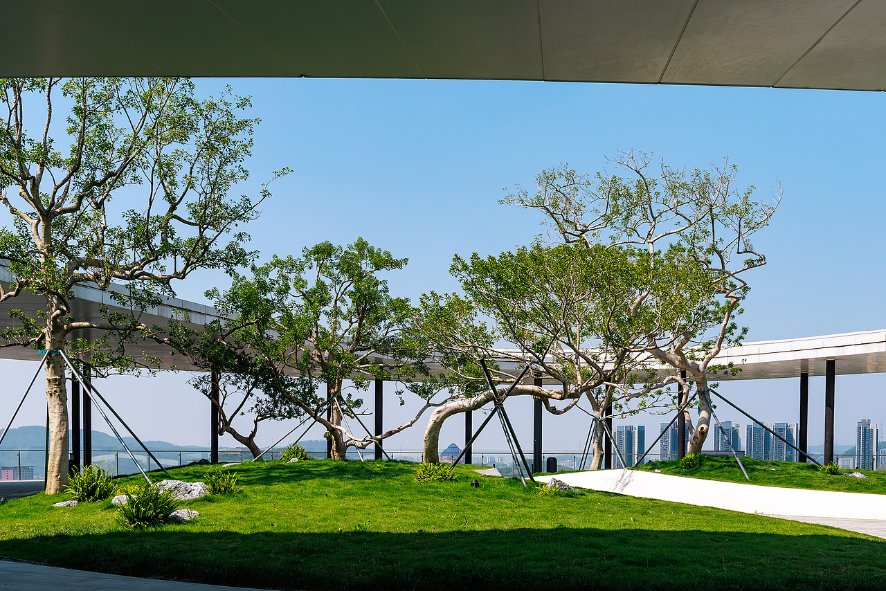 🌌闯入科幻电影片场！深圳光明科学公园（图ZMzkwMzc1NTky） - 环境/建筑摄影 - 站酷设计师摄影师杨涛原创素材 - 站酷ZCOOL