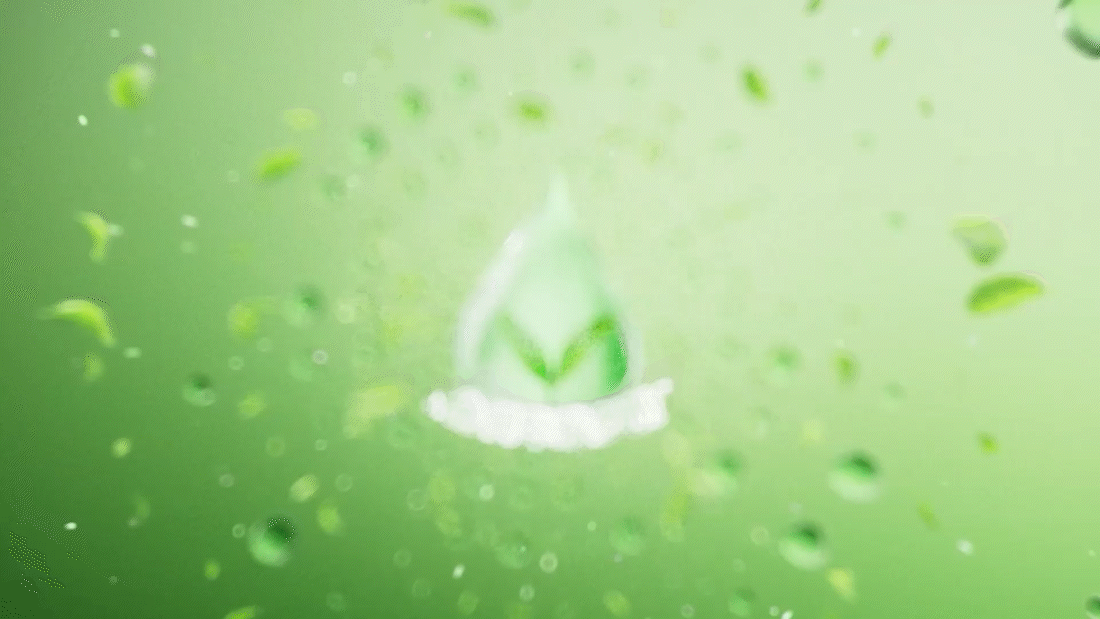 个人动态视频作品集