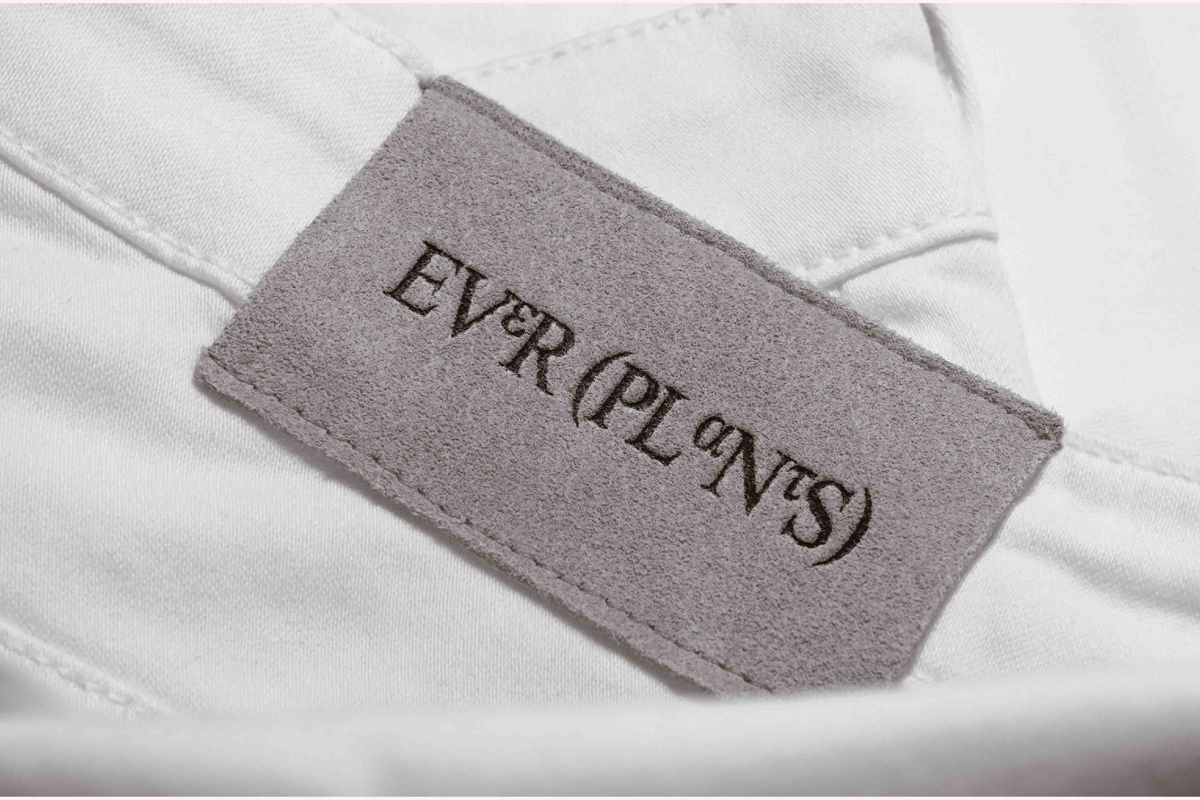 香氛品牌的“实验室革命”-EVERPLANTS香氛品牌视觉设计｜365天的好设计NO.85（图ZMTUwODczNjQ=） - 观点 - 站酷设计师站酷资讯原创素材 - 站酷ZCOOL