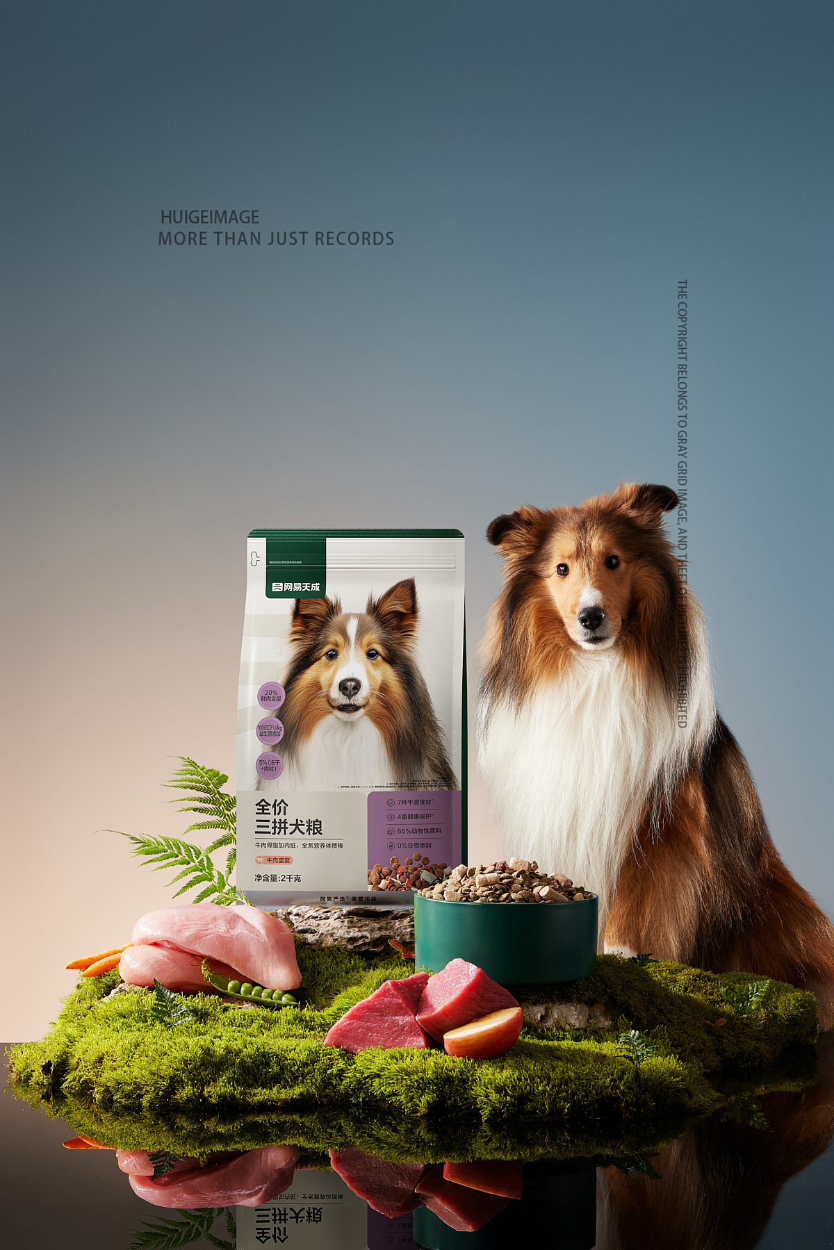 杭州网易天成犬粮拍摄宠物口粮