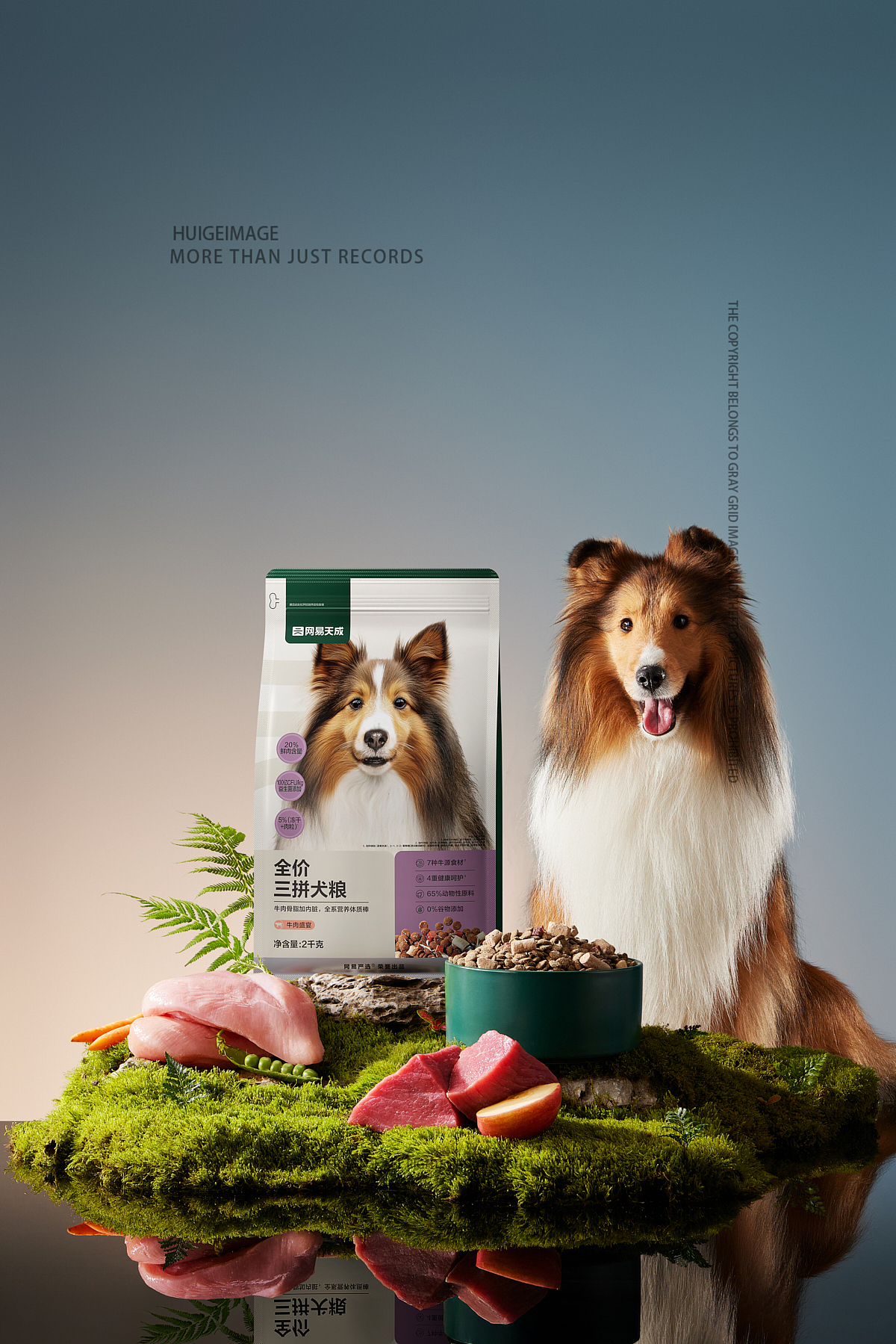 杭州网易天成犬粮拍摄宠物口粮