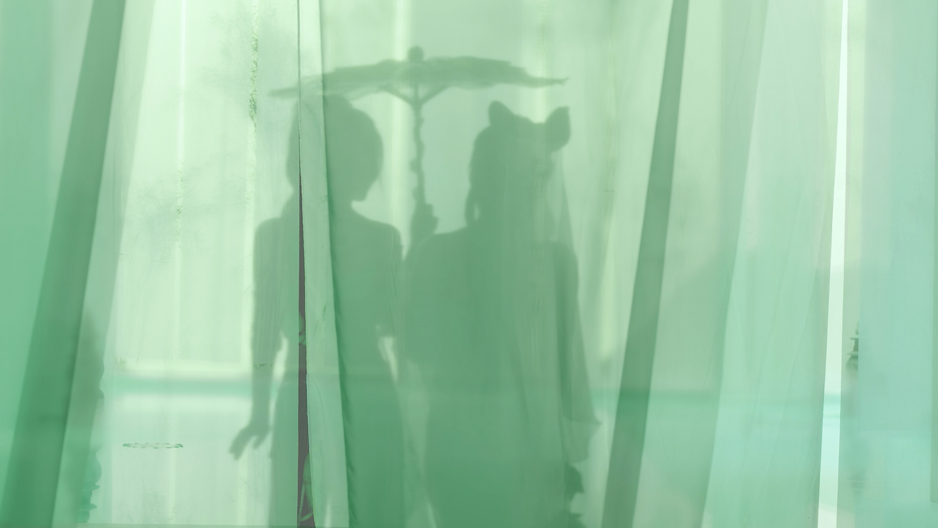 《西湖梦寻 白蛇传说 》青白蛇真人微电影