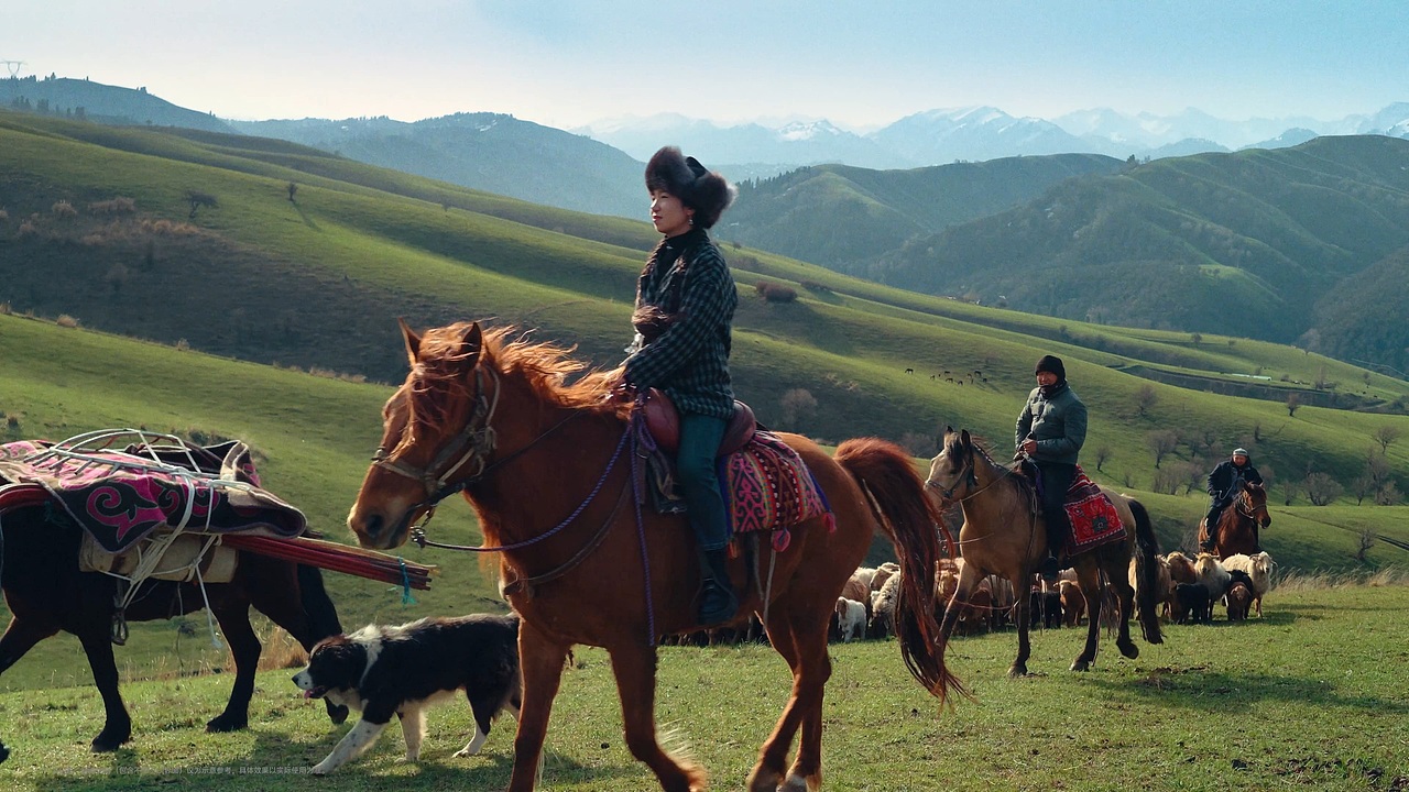 vivo X200ultra X 滕丛丛｜复刻《我的阿勒泰》名场面（图ZMzkwMzk3OTQ4） - 宣传片 - 站酷设计师盘马弯弓PMWG原创素材 - 站酷ZCOOL