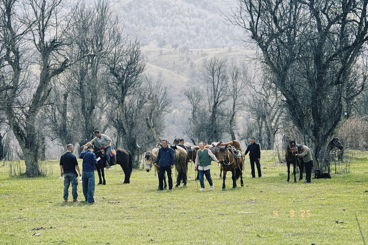 vivo X200ultra X 滕丛丛｜复刻《我的阿勒泰》名场面（图ZMzkwMzk4MDA4） - 宣传片 - 站酷设计师盘马弯弓PMWG原创素材 - 站酷ZCOOL