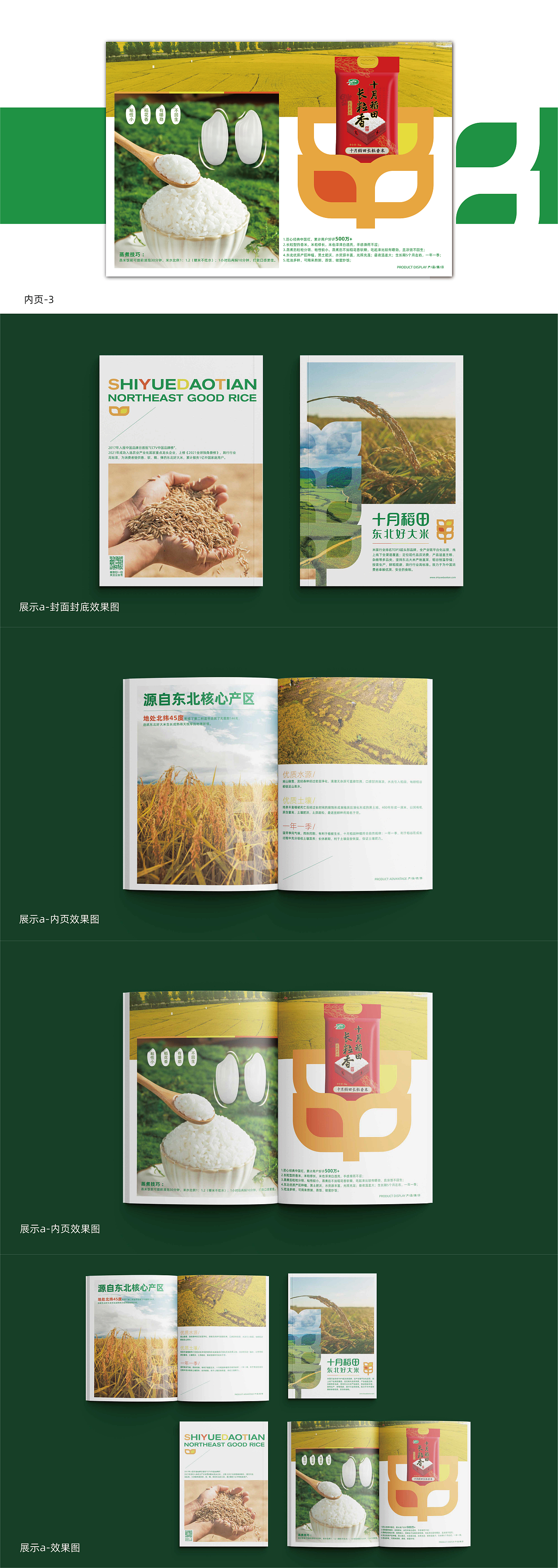 十月稻田画册设计(飞机)