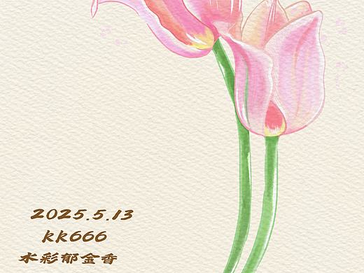 水彩花卉郁金香