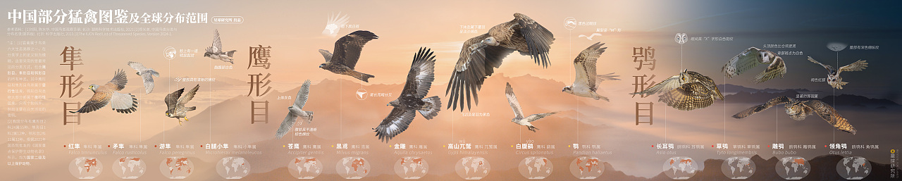 星球研究所 | 制图 动植物演化及复原001