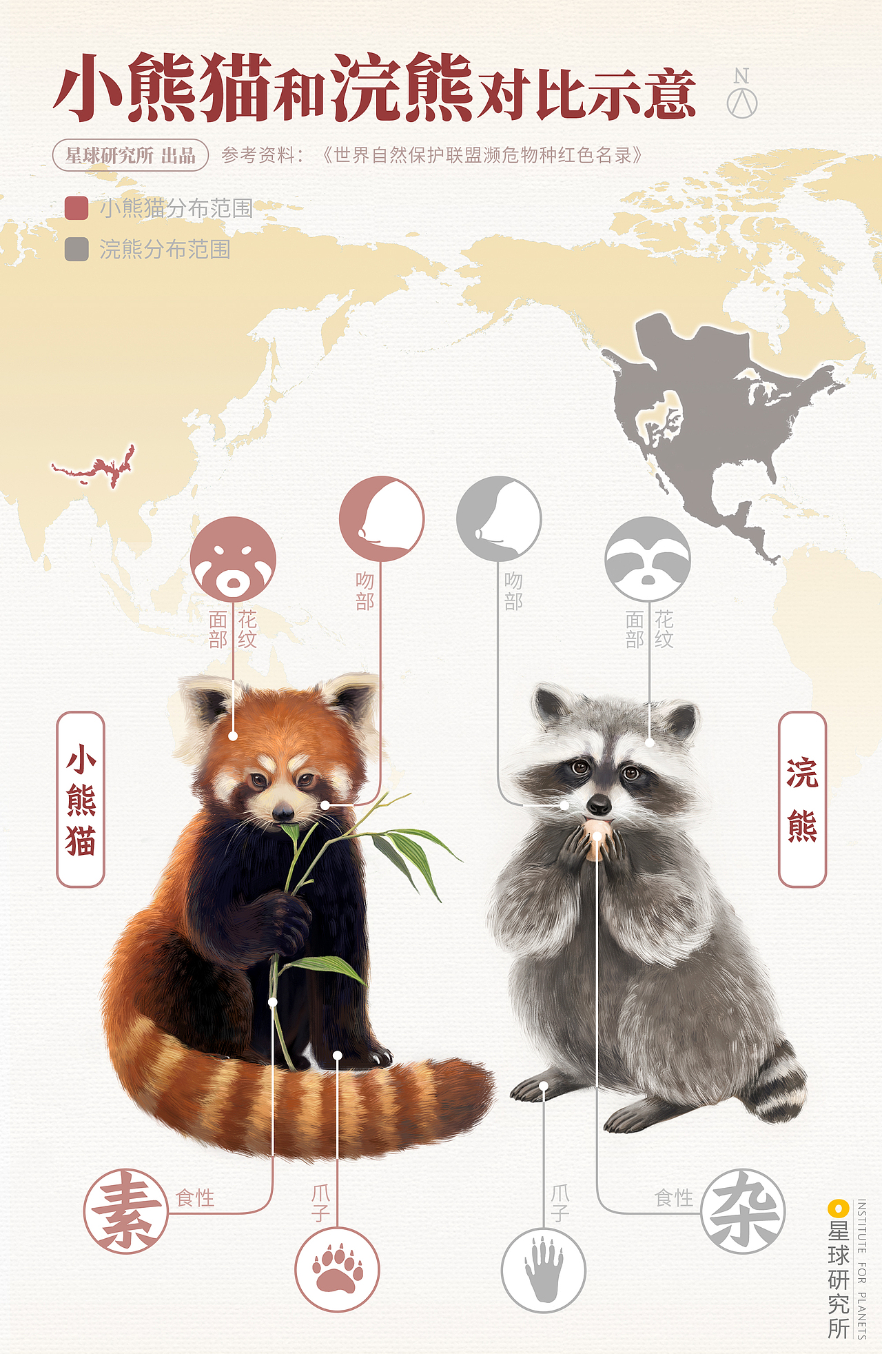 星球研究所 | 制图 动植物演化及复原002