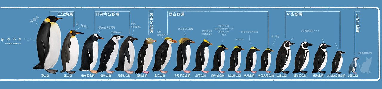 星球研究所 | 制图 动植物演化及复原006