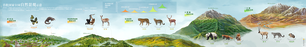 星球研究所 | 制图 动植物演化及复原006