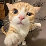 一杯小可乐的头像