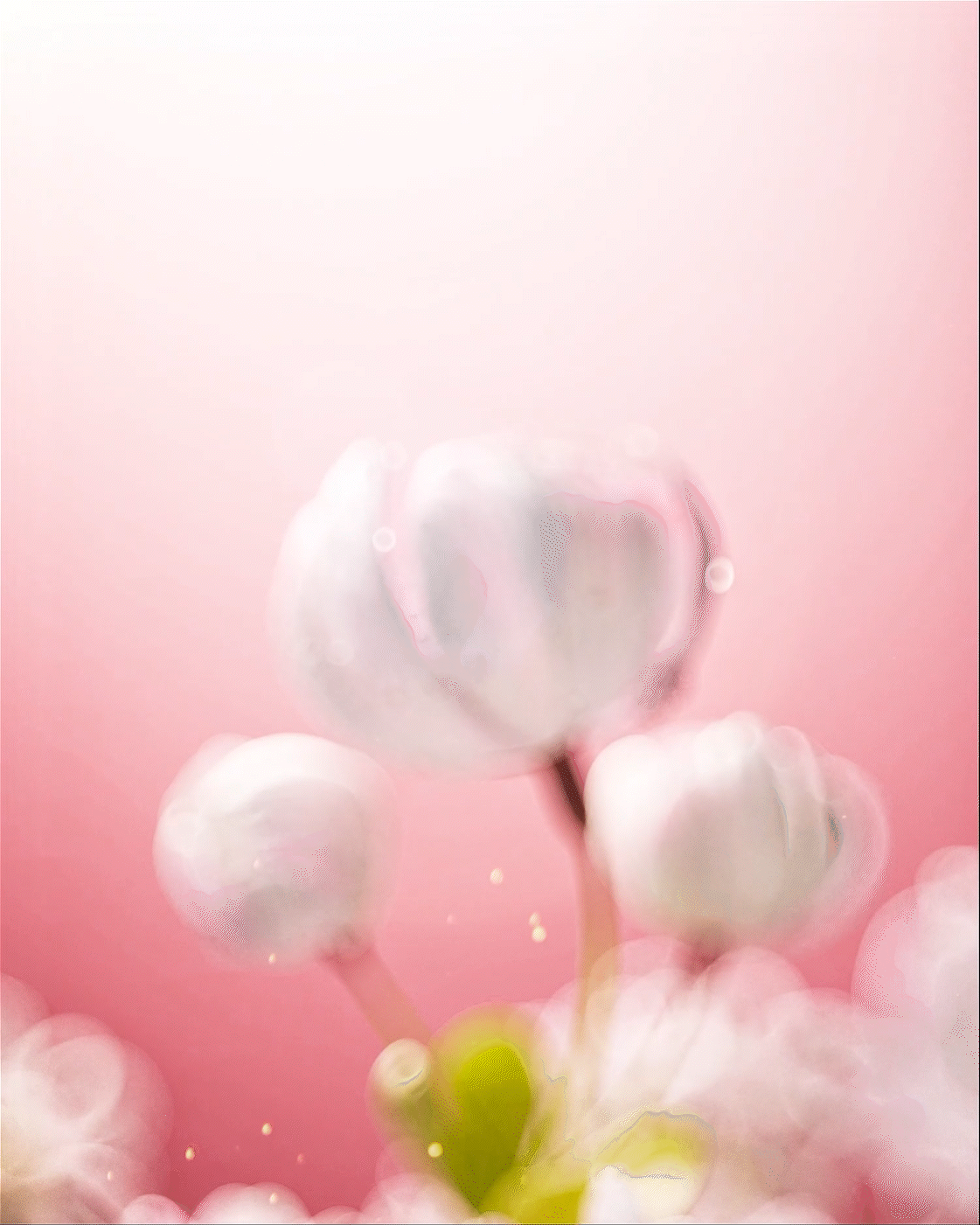 护理产品静态,动态渲染